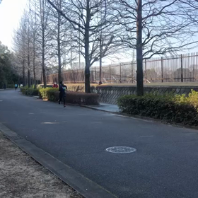 長距離記録会(3月12日) Cグループ ゴール④の画像