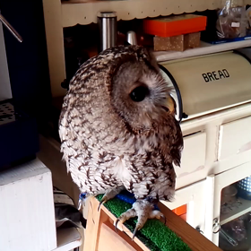 朝ご飯♪の画像