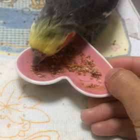 前回の続きです。の画像