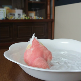 ごめんね、ももの画像