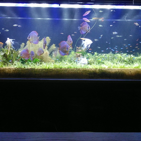 トリミングしました。の画像