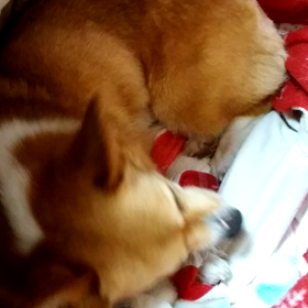 ブログ～たまってます。の画像