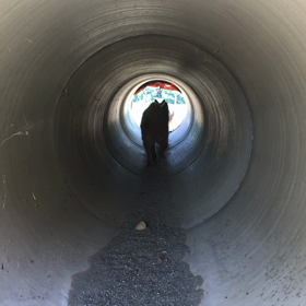 トンネル〜の画像
