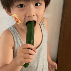 今日のひとコマの画像