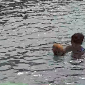 ラム泳ぐ〜〜の画像