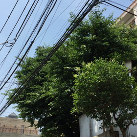 おだやかな気持ちの画像