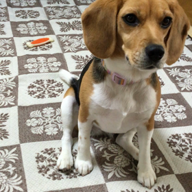 できるもんパート1の画像