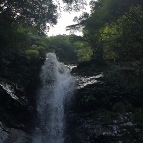 徳島の鳴滝さんに〜〜(o^^o)の画像