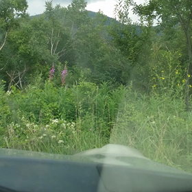 山でオカリナの画像