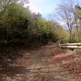 林道行ってきました動画2の画像