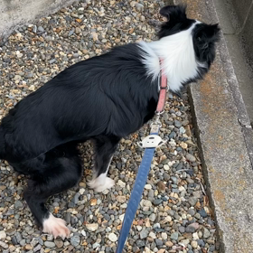 ひるんぽの画像