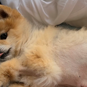 旦那お出掛けの画像