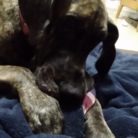 お子様かっ！の画像