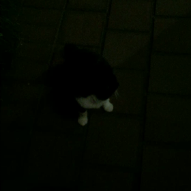 そんな時は …at such timeの画像