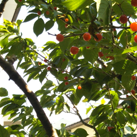 天気晴朗なれども風強し！の画像