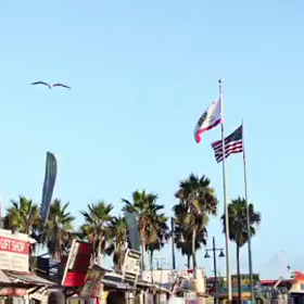 LAのELLY(*´ｪ`*)の画像