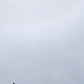 自由ポイ　ƪ(˘⌣˘)ʃの画像