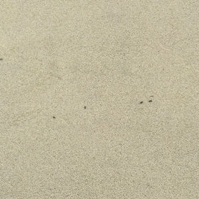 家族旅行の画像