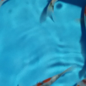 トヨタのしょうわの画像