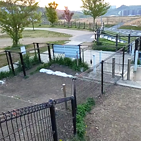 シュワッチ！！の画像