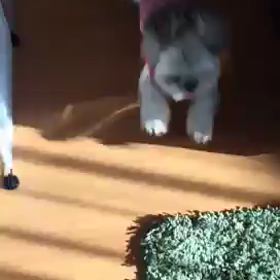 ハイテンションの画像