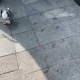 韓国旅行21 おもしろいアジョシの画像