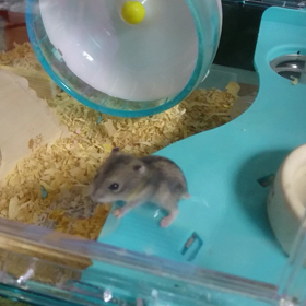 週末です‼️の画像