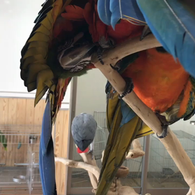 隠れているの？の画像