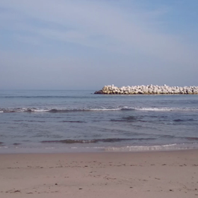 ここ数日の画像