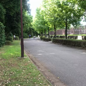 8月11日 特別練習(1000m)ゴール③の画像