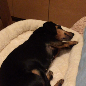 復活〜！の画像