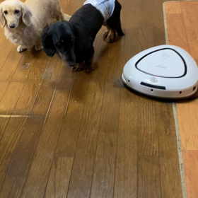 ロボット掃除機の画像