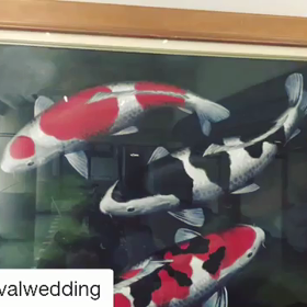 あと2日！の画像