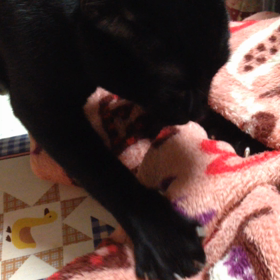 モミモミの画像