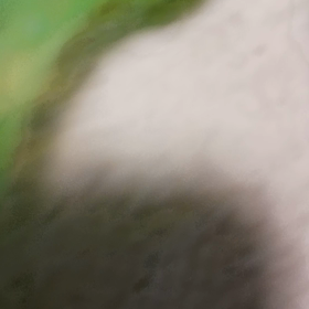 久々の雷雨！めぐみの雨だね♪の画像