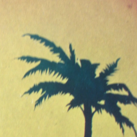 カルフォルニアドリームの画像