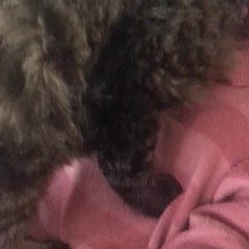 日向くんとまったりーの画像