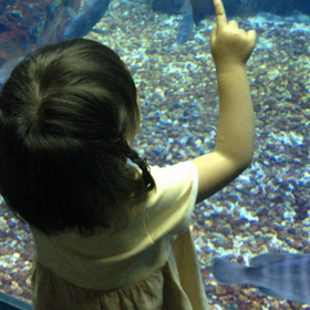 エイ好きな娘♪の画像