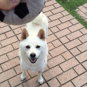 ただいま練習中〜♫の画像