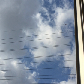 春  一番の画像