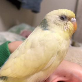 目指せ動画投稿！の画像