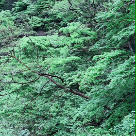 強運の波に乗るには！         updatedの画像