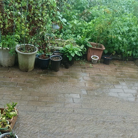 今日は終戦記念日の画像