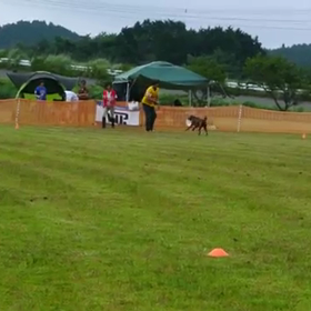 2016年佐賀天山大会２の画像