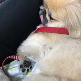 内緒のはなし♡の画像