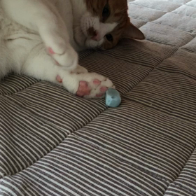 置きっぱなしにするからぁ〜の画像