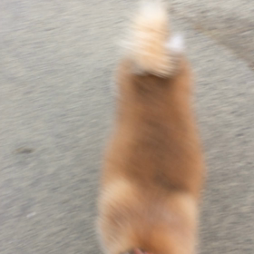 僕だけを見てほしい！の画像