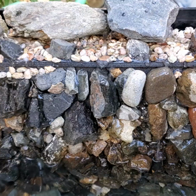 水槽テストの画像