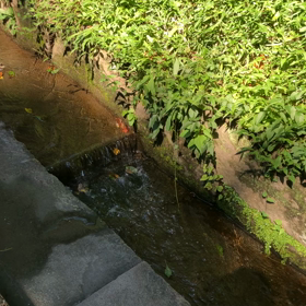 迷ったら来る場所の画像