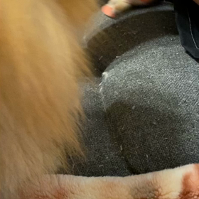 プリケツ❣️の画像